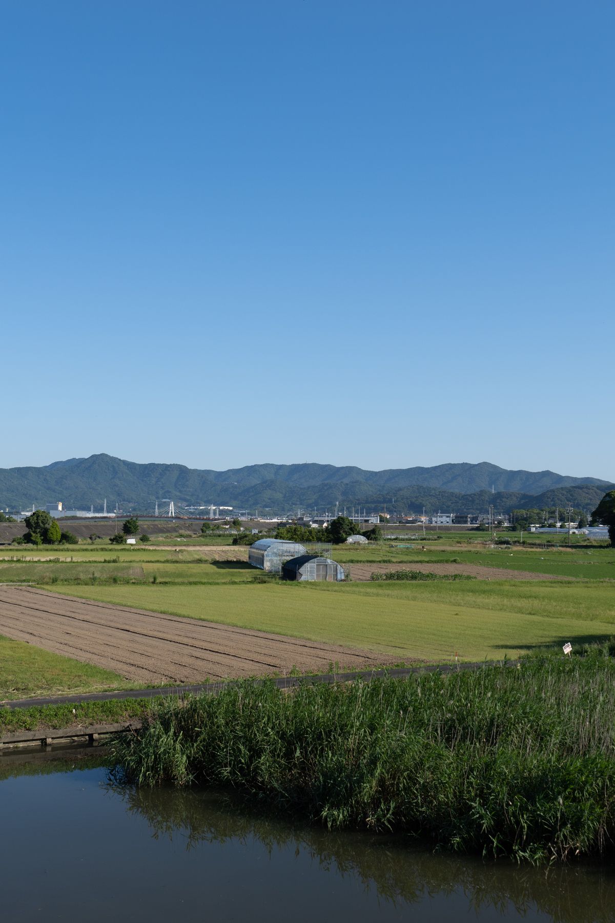 山並みの見える日本の田園風景
