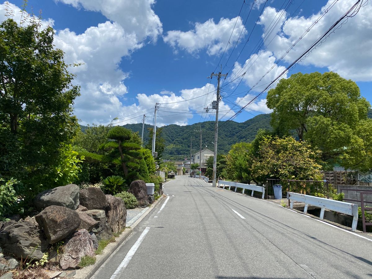 緑と山に囲まれた日本の田舎道