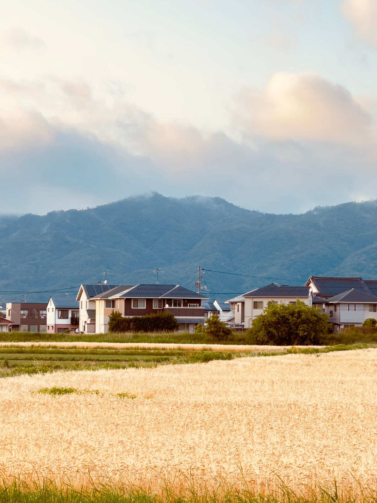 夕日に照らされた日本の農村風景